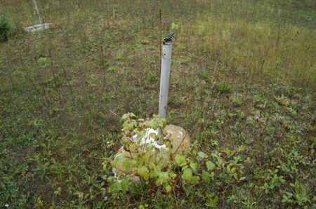 Hiawatha Drive-In Theatre - Speaker Pole (newer photo)